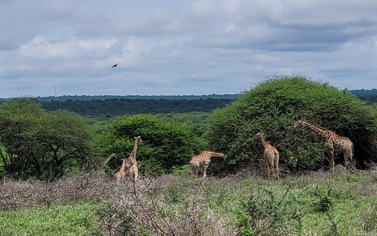 Motlala Game Lodge Hoedspruit Bagian luar foto