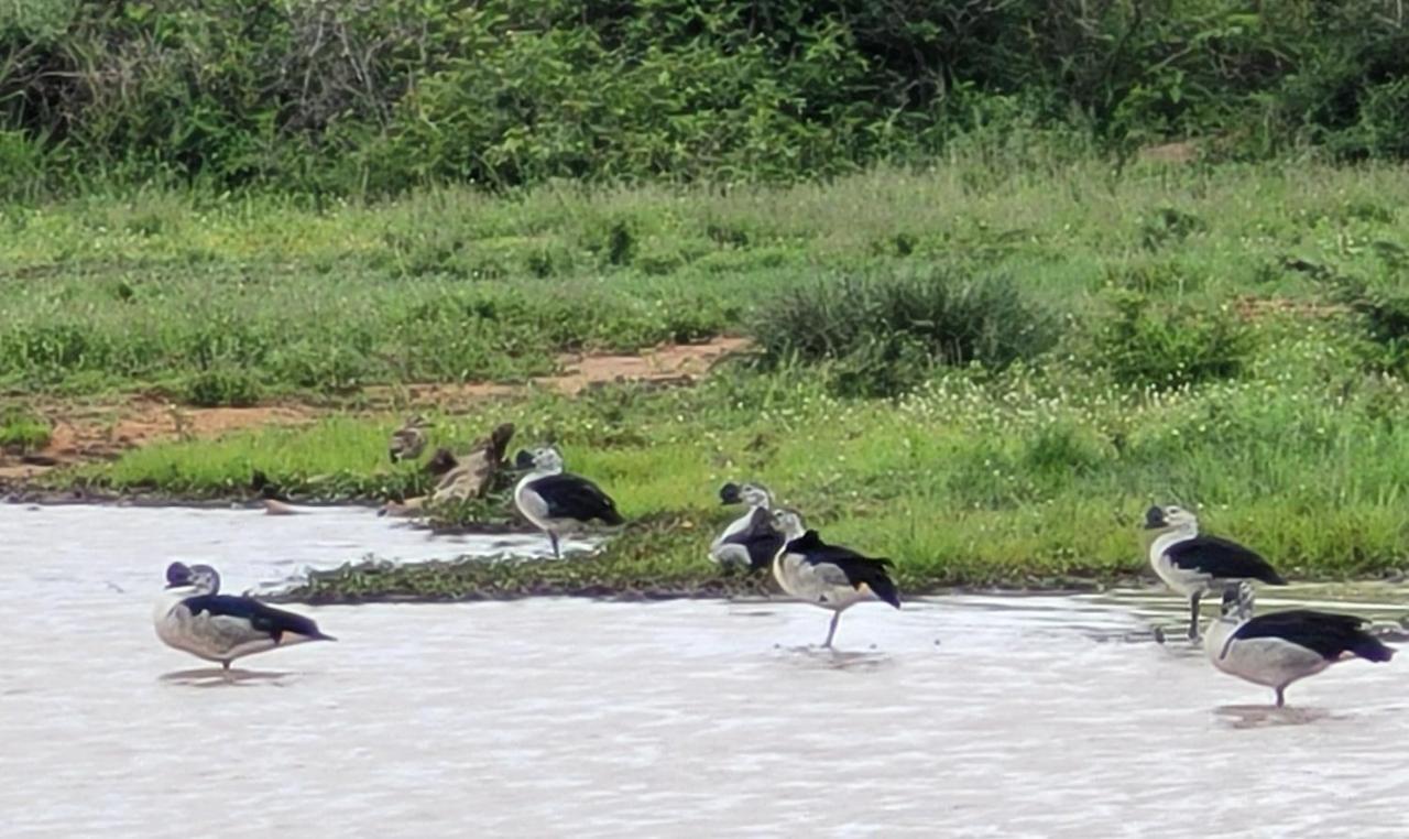 Motlala Game Lodge Hoedspruit Bagian luar foto