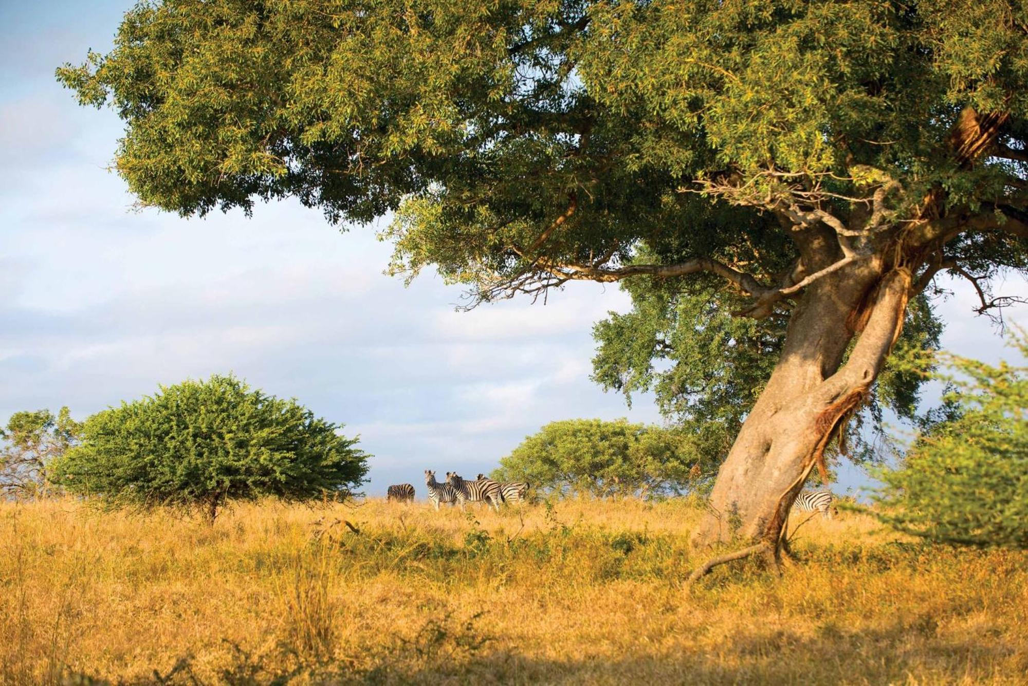 Motlala Game Lodge Hoedspruit Bagian luar foto